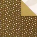 AMM 12X12 BACKGROUND PAPER - ATTITUDE DOTS