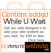 60 Minute Website : Content as you wait