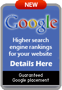 Search Engine Services