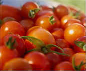 Cherry Tomates